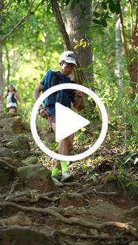 BIB:  <button type="button" onclick="openModal(27639727)" class="btn btn-primary btn-sm float-right" data-toggle="modal" data-target=".modal-high-quality">
                <i class="fa fa-download"></i> Download
                </button>